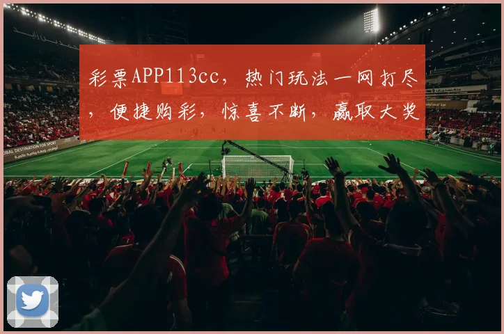 彩票APP113cc，热门玩法一网打尽，便捷购彩，惊喜不断，赢取大奖